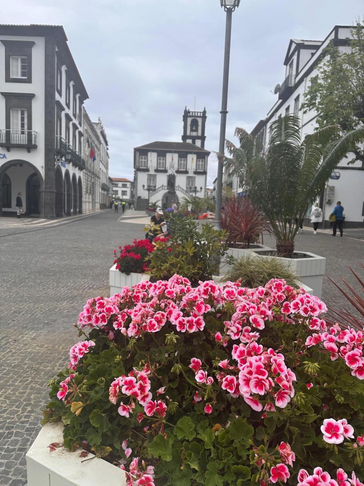 Azor International Apartment I Ponta Delgada Eksteriør bilde