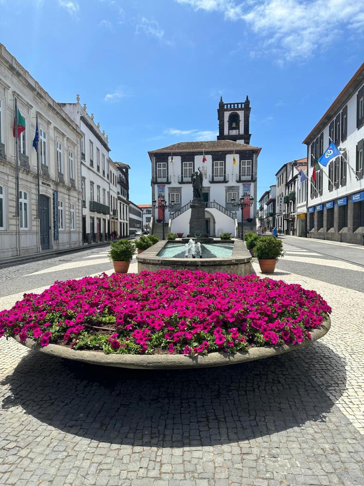 Azor International Apartment I Ponta Delgada Eksteriør bilde
