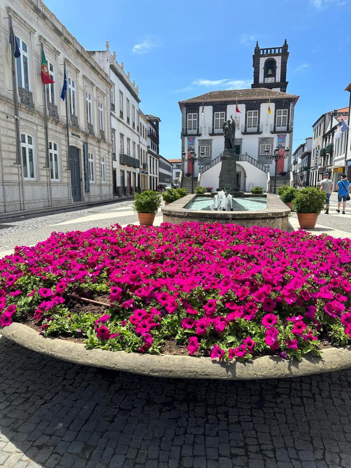 Azor International Apartment I Ponta Delgada Eksteriør bilde